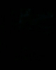 y00134.jpg