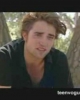 PDVD_004.JPG
